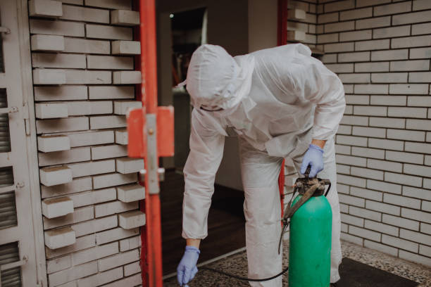 Termite Treatment Orlando