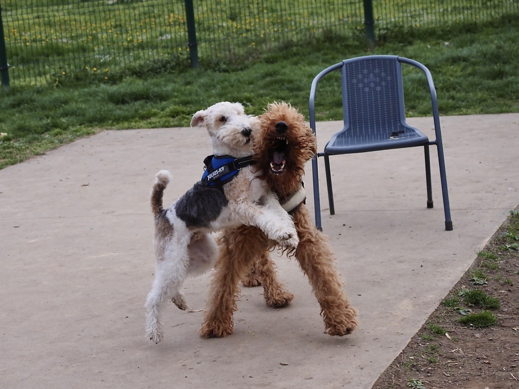 E2DECBFF-241B-425D-B25F-85556C04A064