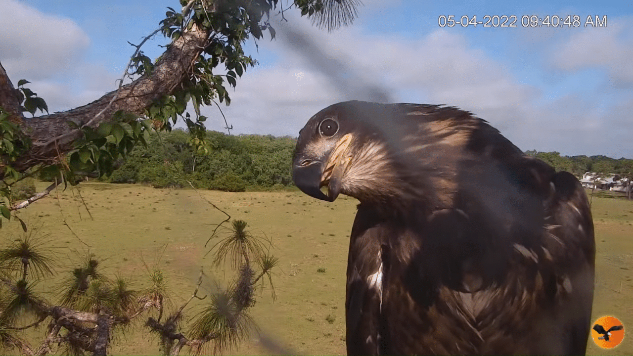 Webp.net-gifmaker (8)