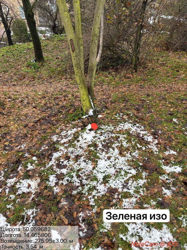 photo 7 2025 12 03 18 37 37