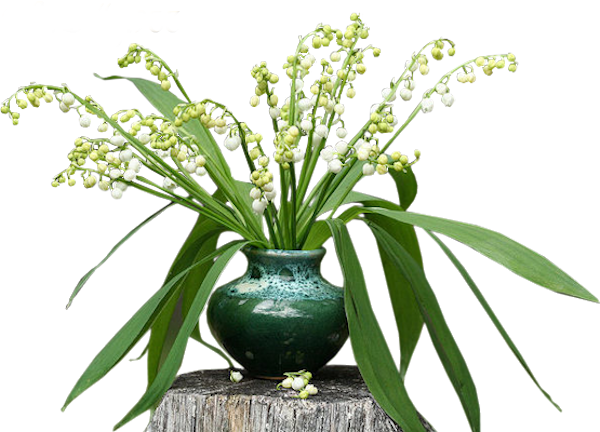 Siempre Libre & Glitters y Gifs Animados Nº349 - Página 66 Fleurs-muguet-vase-vert