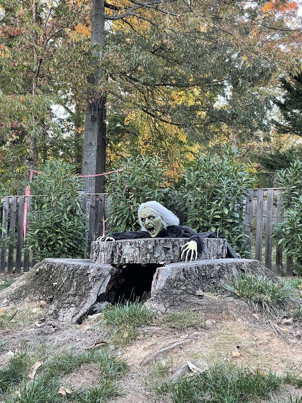 E186038D-40DA-4376-939A-984844638FB4