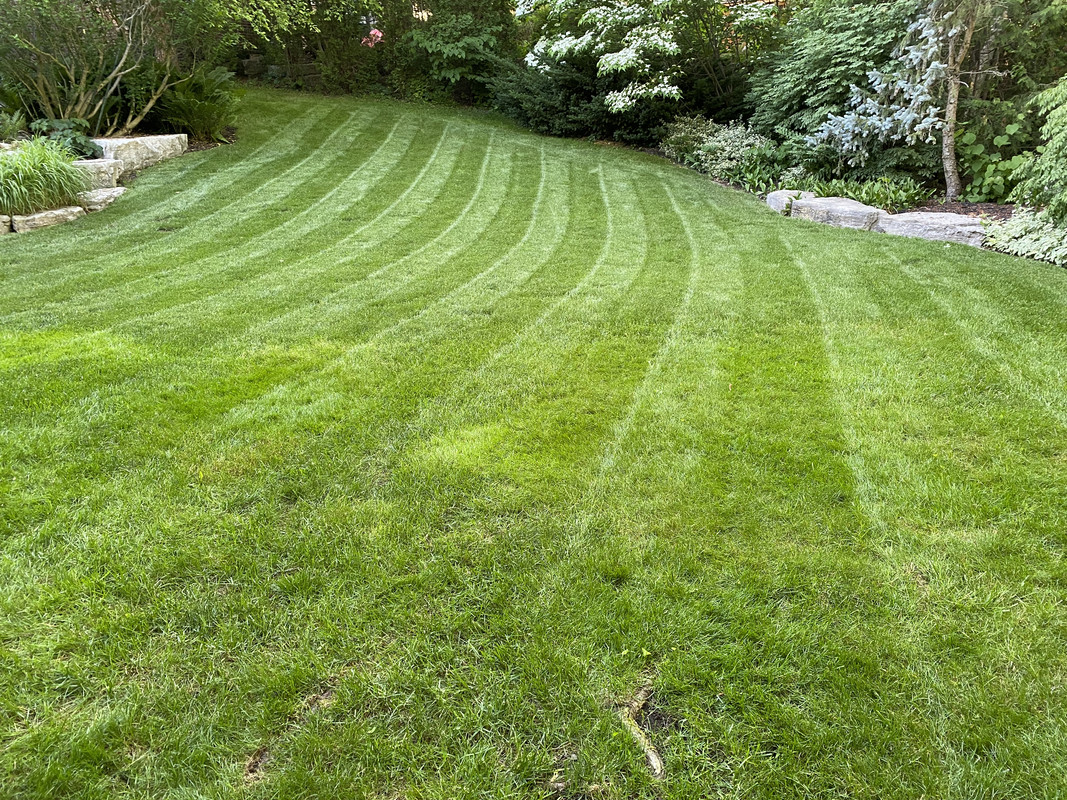 14228E67-4976-4337-8397-7F26EFC501A0