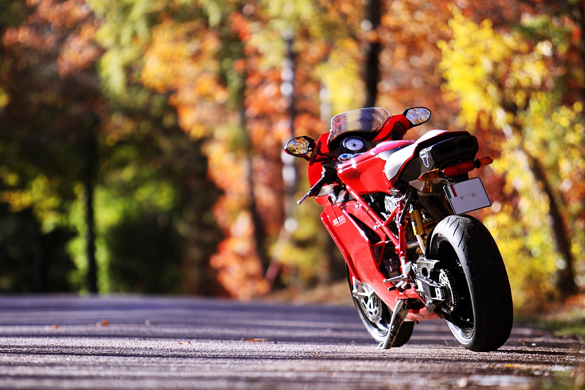 External inline image provided by member with no explanatory text