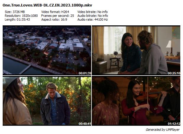 Pravé lásky / One True Loves (2023)