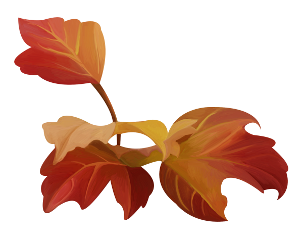 143790066_LMB_Fall_Bounty_Element_49