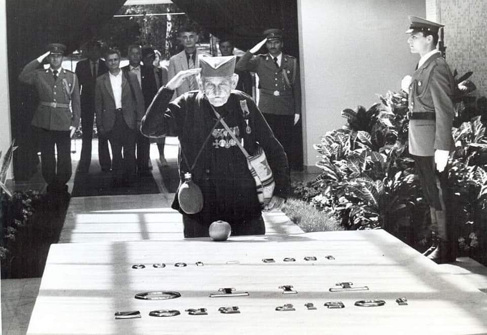 [Слика: 333867015-569695895193879-5333909540812677473-n.jpg]