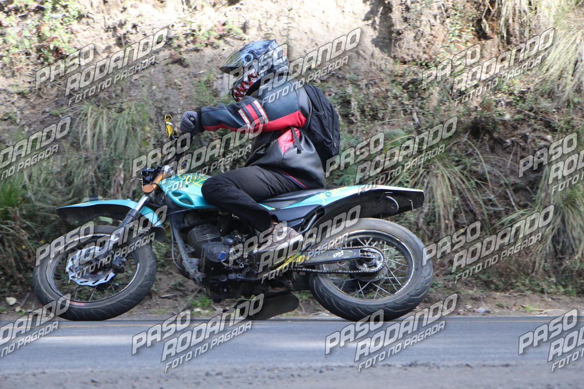 IMG 8322 wm 6848488 6 watermarked — Postimages