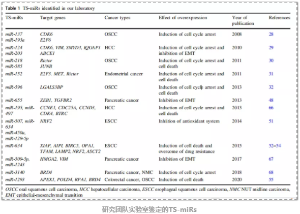 癌症相关的miRNA及其在癌症miRNA治疗中的临床应用-2.png