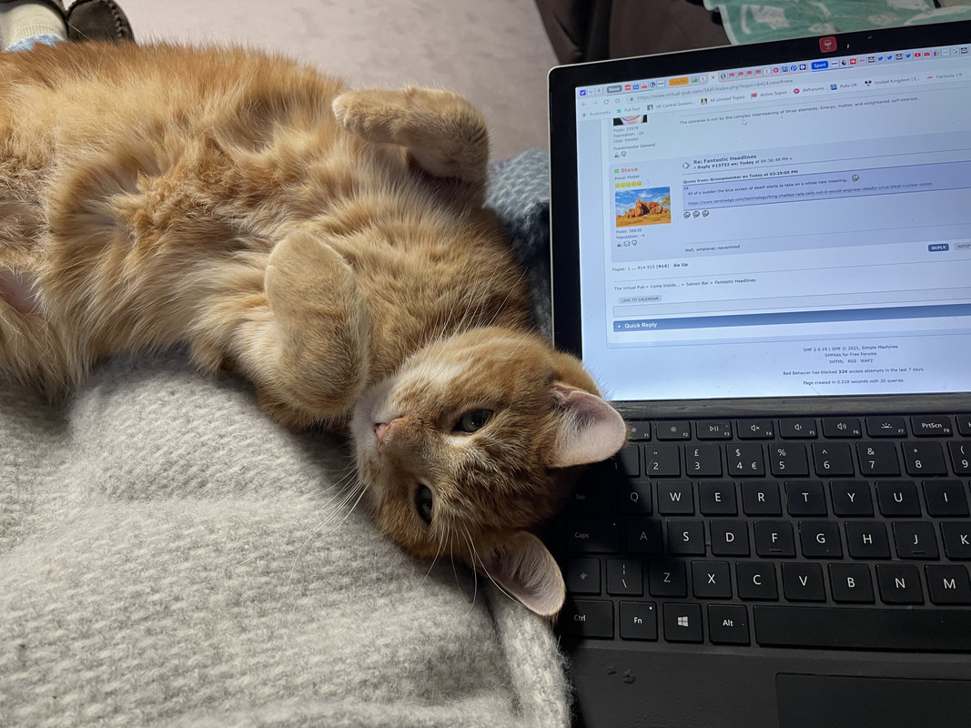 999D63CD-22D3-4188-8004-F95C2E7A6B69