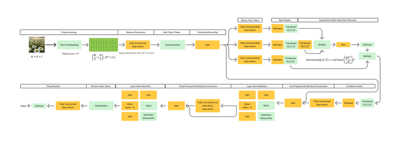 vit-model-architecture.png