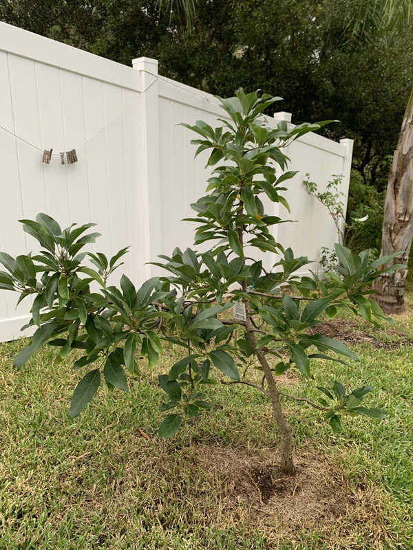 9C8275C0-84EF-4444-B6E5-42C5074C8CE1