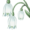 Snowdrop-Badge.png