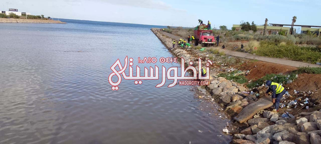 611338191-1423994632643004-5296514054900809284-n