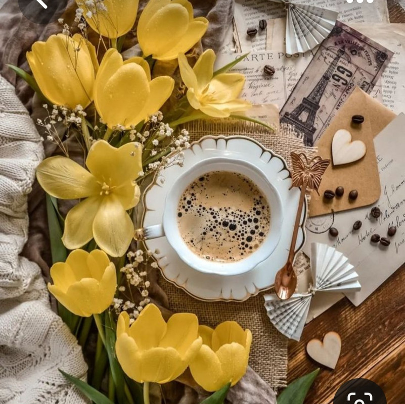 Screenshot_20230311_224855_Pinterest