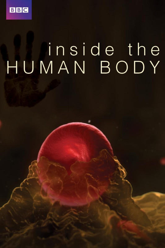 inside the human body tv series 243630916 large - En el interior del cuerpo humano (4/4)