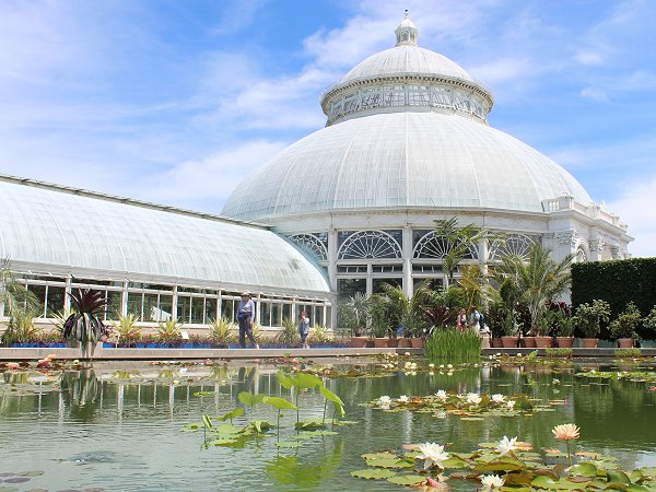 NYBG06082019-1.jpg