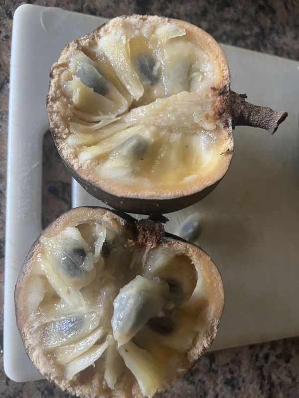 4331A3C2-6989-4C52-8A2E-F964E209ECB5