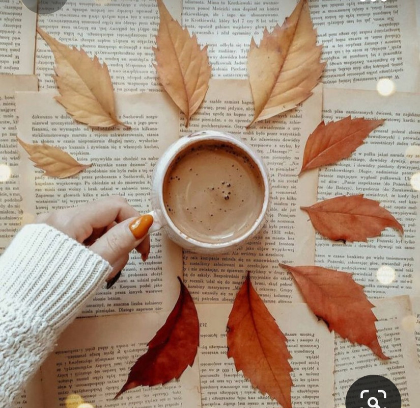 Screenshot_20231015_200120_Pinterest