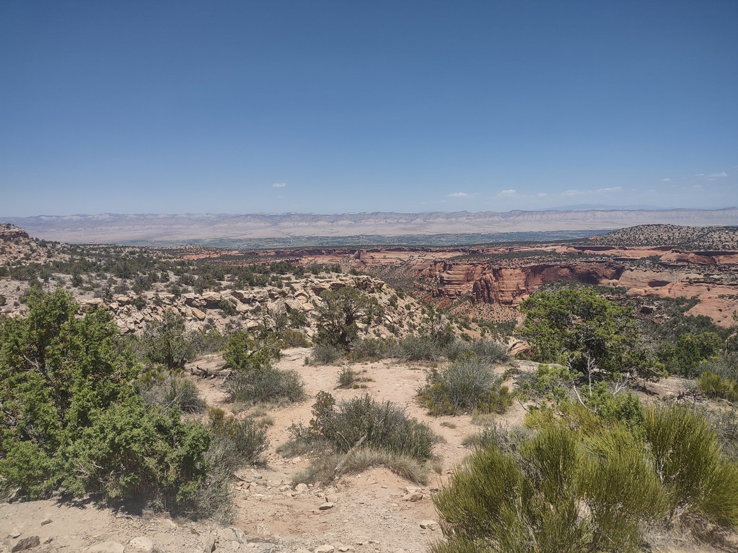 IMG_20250620_133956844_HDR