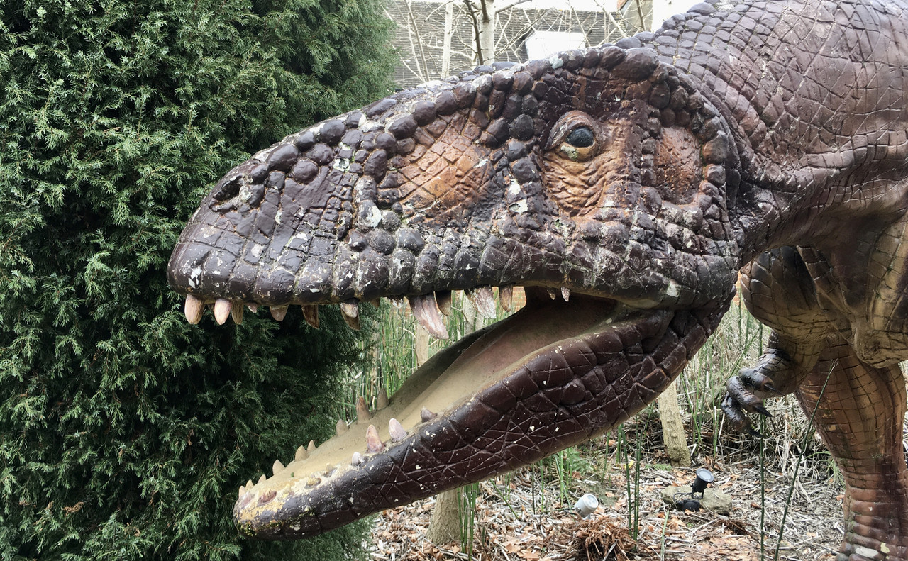 474FCD84-DAA5-42D5-8100-FB9F3995BC43