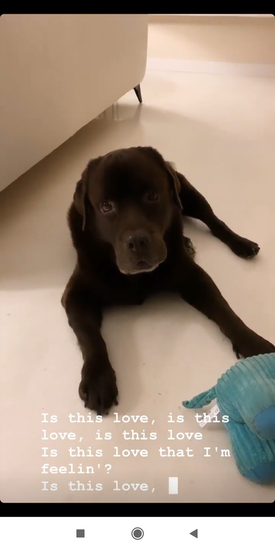 Screenshot_2019-10-13-21-56-41-091_com.instagram.android