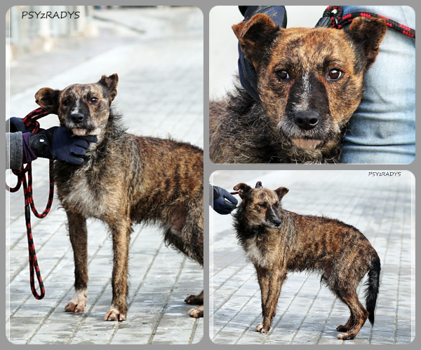 BeFunky-collage (26)