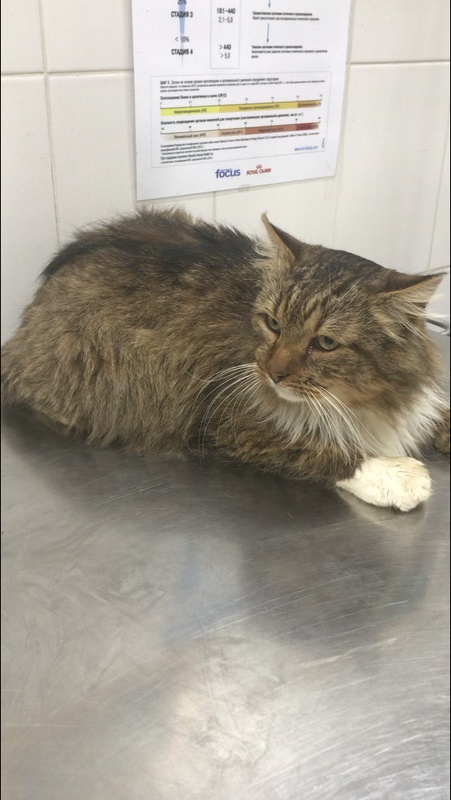 8183B429-D520-48DE-AF17-8701EF59B6D6