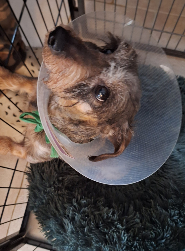 [Image: 20250225-162959.jpg]