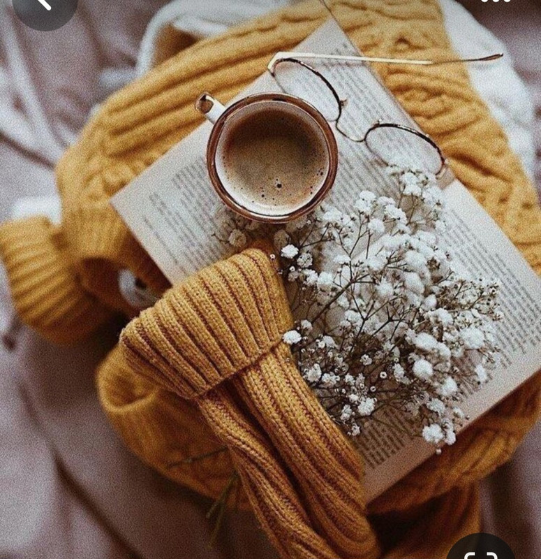 Screenshot_20230911_221127_Pinterest