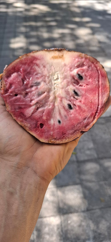 Whats App Image 2026 03 10 at 7 47 58 PM