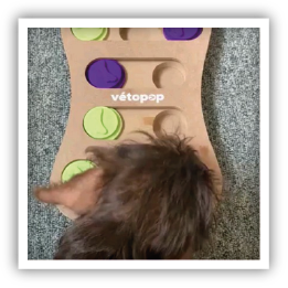 Site-Web-vignette-Instagram-Jouet-os-24