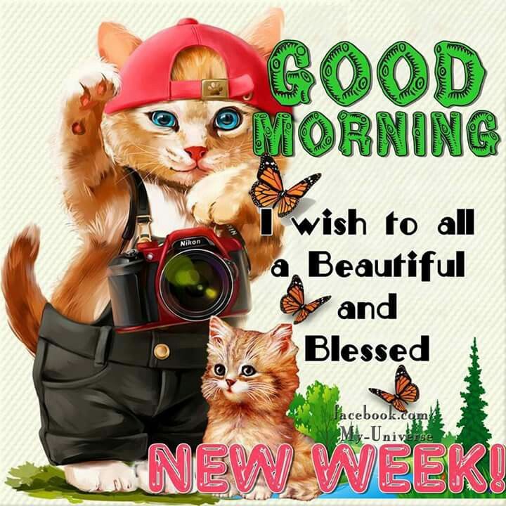 299559-Good-Morning-I-Wish-To-All-A-Beautiful-And-Blessed-New-Week