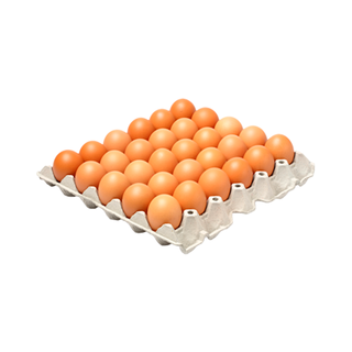 8723 | Maple Huevos