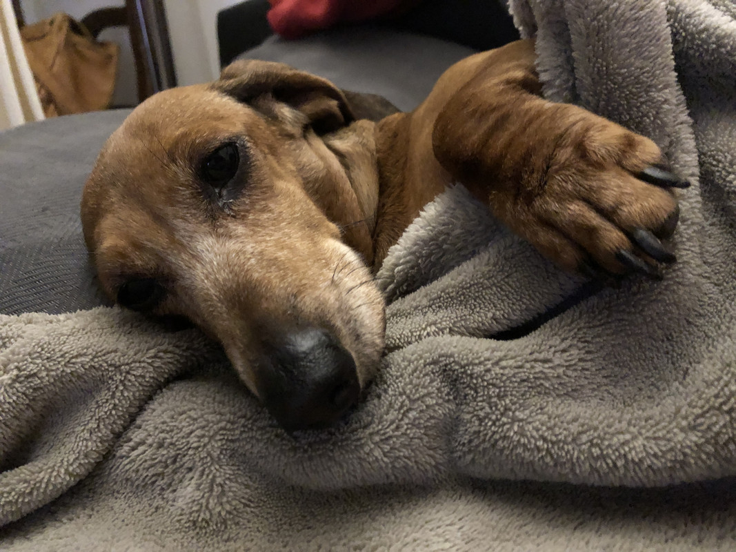 [Image: IMG-2928.jpg]