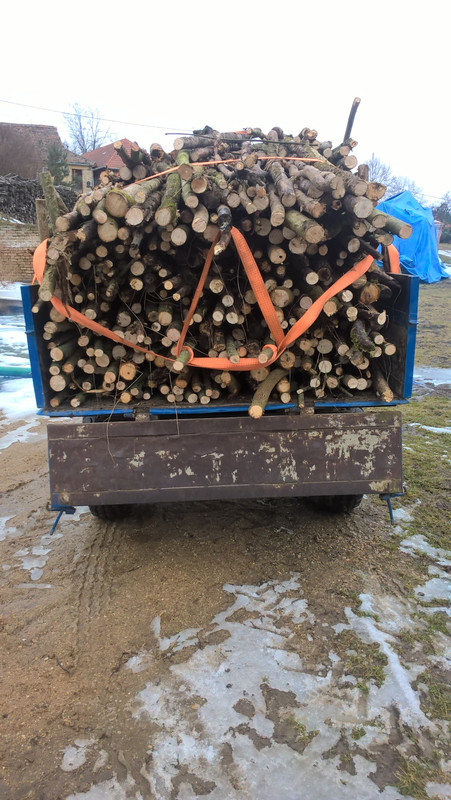 WP_20170219_11_53_53_Pro