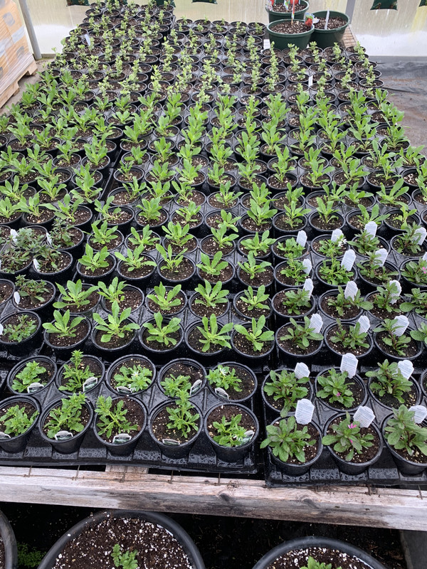 1F9B4D7D-BDEF-4D28-8720-E6C117D127A3