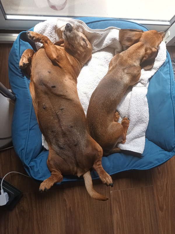 [Image: IMG-20230816-130014.jpg]