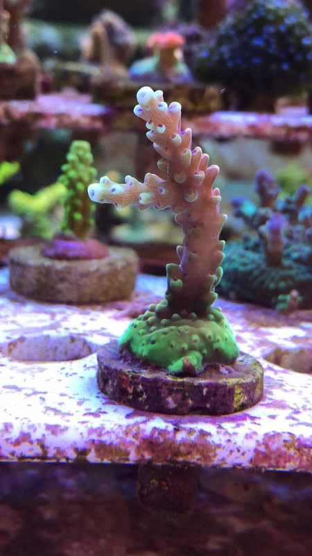 71223330-DE5E-4EFB-936A-9E7DA2FAD7FB