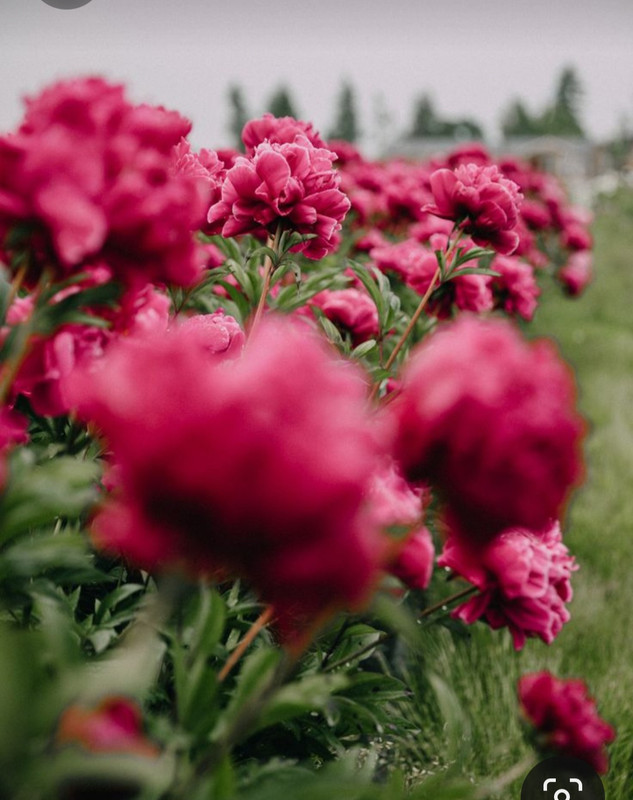 Screenshot_20231104_004106_Pinterest