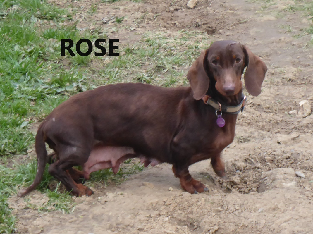 [Image: P1040505-Copie.jpg]