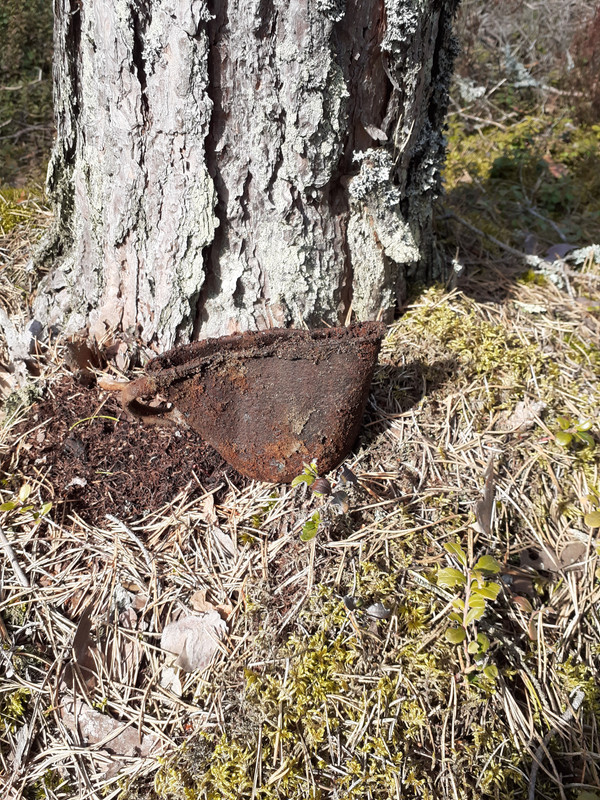 20220417_113441 – kopio