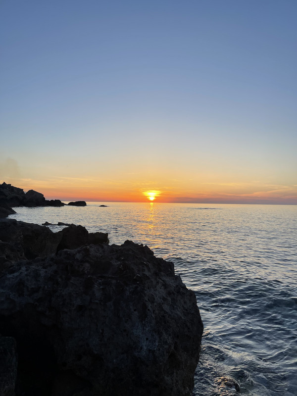 25573FA0-28E6-4D88-95D2-2470D9FD0A76