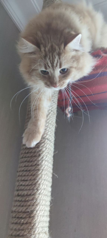 photo_2022-09-06_10-10-43