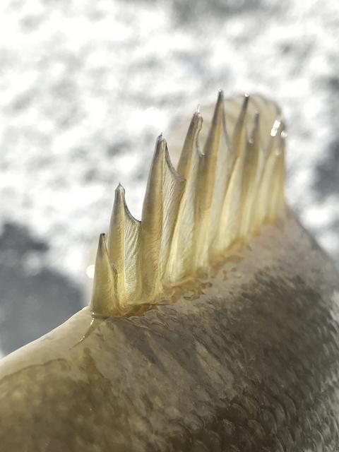 D07CC3C7-49F8-41EF-9A1E-2BF419021F6A