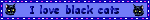 blackcat