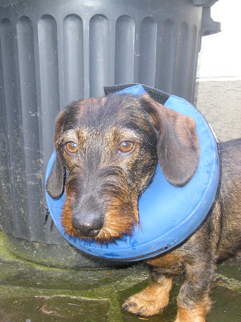 [Image: TOUNDRA-LUNE.jpg]