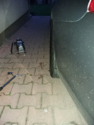 20190330-182713.jpg