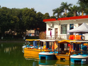 photo 9 2026 01 10 15 44 24