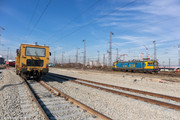 IMG-1443